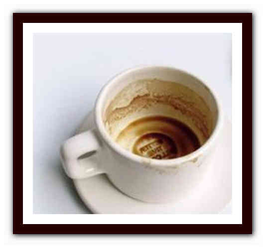 Гадание на кофейной гуще толкование утка | Портал о кофе